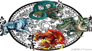 龙龟貔貅金蟾麒麟的聚财阵怎么摆(招财金蟾的正确摆放位置及相关禁忌)