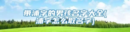 带浦字的男孩名字大全(浦字怎么取名字)