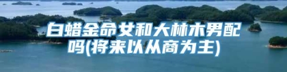 白蜡金命女和大林木男配吗(将来以从商为主)