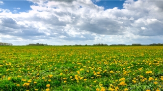 89男适合找哪年出生女人(88年男和92年女合适吗)