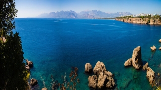 70年出生属性(70年属狗是什么命)_重复