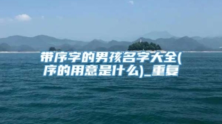 带序字的男孩名字大全(序的用意是什么)_重复