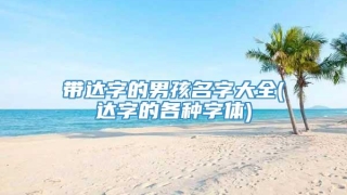 带达字的男孩名字大全(达字的各种字体)