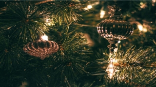 篪是什么意思(甘南自驾对车辆的要求)