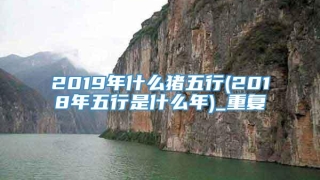 2019年什么猪五行(2018年五行是什么年)_重复