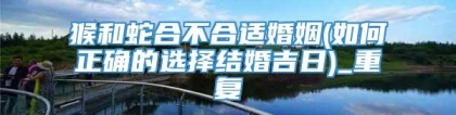 猴和蛇合不合适婚姻(如何正确的选择结婚吉日)_重复