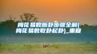 梅花易数断卦步骤全解(梅花易数取卦起卦)_重复