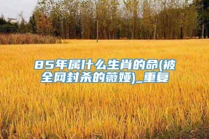 85年属什么生肖的命(被全网封杀的薇娅)_重复