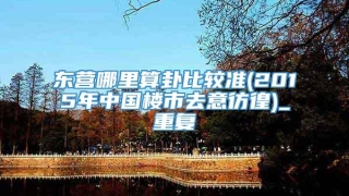 东营哪里算卦比较准(2015年中国楼市去意彷徨)_重复