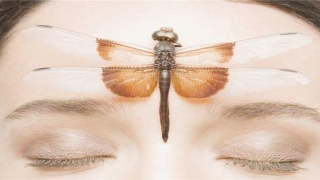 额头凹陷的人(额头凹陷发型)