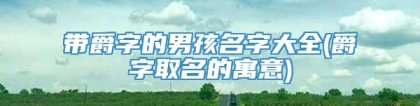 带爵字的男孩名字大全(爵字取名的寓意)