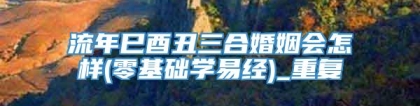 流年巳酉丑三合婚姻会怎样(零基础学易经)_重复