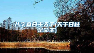 八字查日主天干(天干日柱是命主)