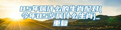 85年属什么的生肖配对(今年85岁属什么生肖)_重复