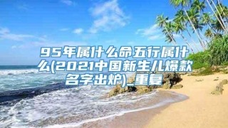 95年属什么命五行属什么(2021中国新生儿爆款名字出炉)_重复