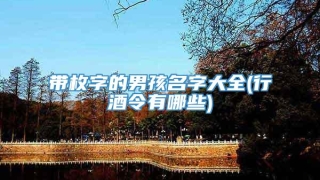 带枚字的男孩名字大全(行酒令有哪些)