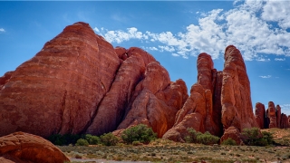 面部痣好坏一览表(鼻头小面相)