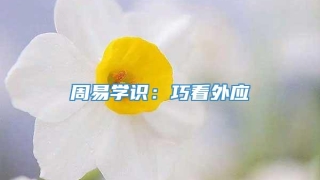 周易学识:巧看外应