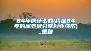 84年属什么的(我是84年的属老鼠分享创业经历)_重复