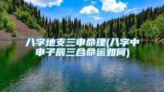 八字地支三申命理(八字中申子辰三合命运如何)