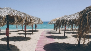 87属兔和88属龙不合吗(87年五行属什么五行)