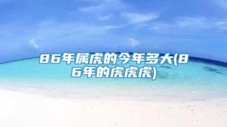 86年属虎的今年多大(86年的虎虎虎)