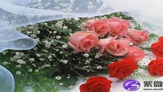 八字爱情语录(关于爱情八字短句)