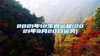 2021年12生肖运程(2021年9月20日运势)