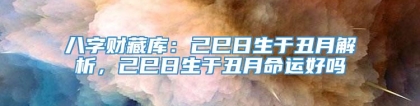 八字财藏库：己巳日生于丑月解析，己巳日生于丑月命运好吗