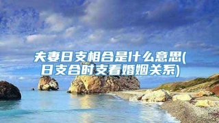 夫妻日支相合是什么意思(日支合时支看婚姻关系)