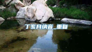 丁亥月纳音_重复