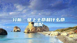 分析:壁上土命和什么命相配