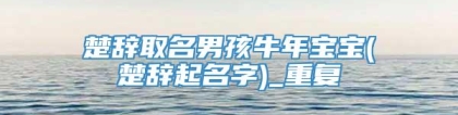 楚辞取名男孩牛年宝宝(楚辞起名字)_重复