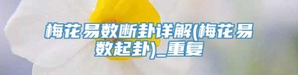 梅花易数断卦详解(梅花易数起卦)_重复
