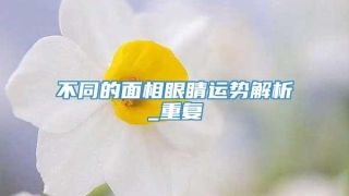 不同的面相眼睛运势解析_重复