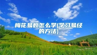 梅花易数怎么学(学习易经的方法)
