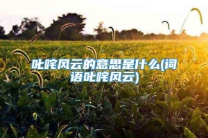 叱咤风云的意思是什么(词语叱咤风云)