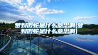 梦到假蛇是什么意思啊(梦到假蛇是什么意思啊)