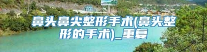 鼻头鼻尖整形手术(鼻头整形的手术)_重复