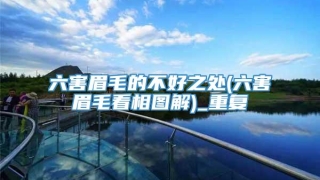 六害眉毛的不好之处(六害眉毛看相图解)_重复