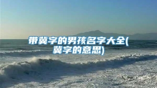 带冀字的男孩名字大全(冀字的意思)