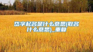 岱字起名是什么意思(取名什么意思)_重复