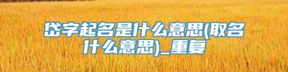 岱字起名是什么意思(取名什么意思)_重复