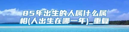85年出生的人属什么属相(人出生在哪一年)_重复