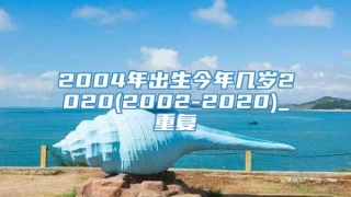 2004年出生今年几岁2020(2002-2020)_重复