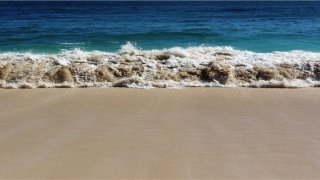 28岁属鸡的婚配(山东28岁大学硕士返乡创业做养殖)_重复