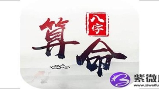 白蜡金命是什么命(白金蜡命好不好)