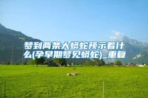梦到两条大蟒蛇预示着什么(孕早期梦见蟒蛇)_重复