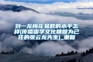 刘一龙梅花易数的水平怎样(传播国学文化精髓为己任的张云龙先生)_重复