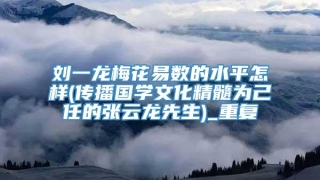 刘一龙梅花易数的水平怎样(传播国学文化精髓为己任的张云龙先生)_重复
